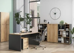 Bureau Pytheas Grafiet Eiken