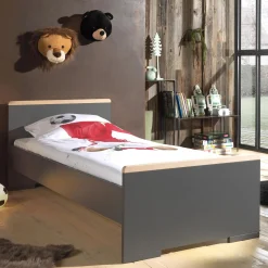 Eenpersoonsbed Dex Antraciet