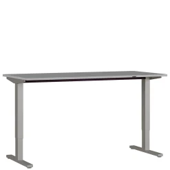 Elektrisch Bureau Ergonoma Lichtgrijs 160 CM