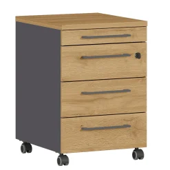 Rolcontainer Ergonoma Eiken